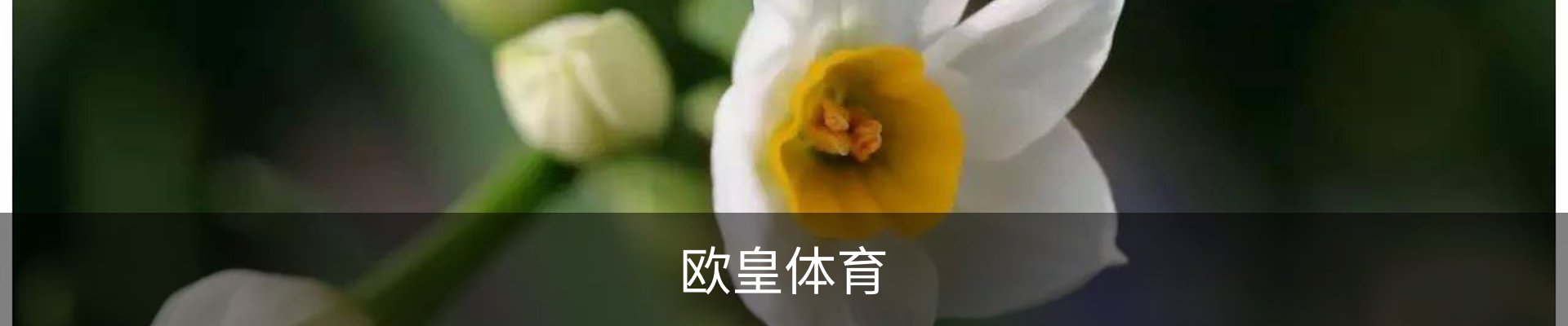 欧皇体育-赛事中心首页